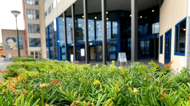 Contact | Fontys Mens en Gezondheid | Eindhoven | Tilburg | Fontys